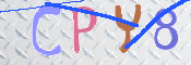 キャプチャ画像