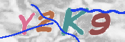 キャプチャ画像