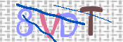 キャプチャ画像