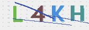 キャプチャ画像