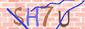 キャプチャ画像