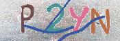 キャプチャ画像