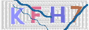 キャプチャ画像
