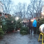 【イギリス生活】「あぁ、もうすぐクリスマスが来るな」って思う日常